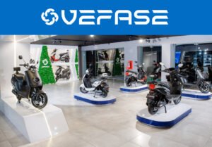 Diseño de Branding y Marca en Palmira, Colombia
